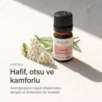 Civanperçemi yağının hafif, otsu ve kamforlu aroması