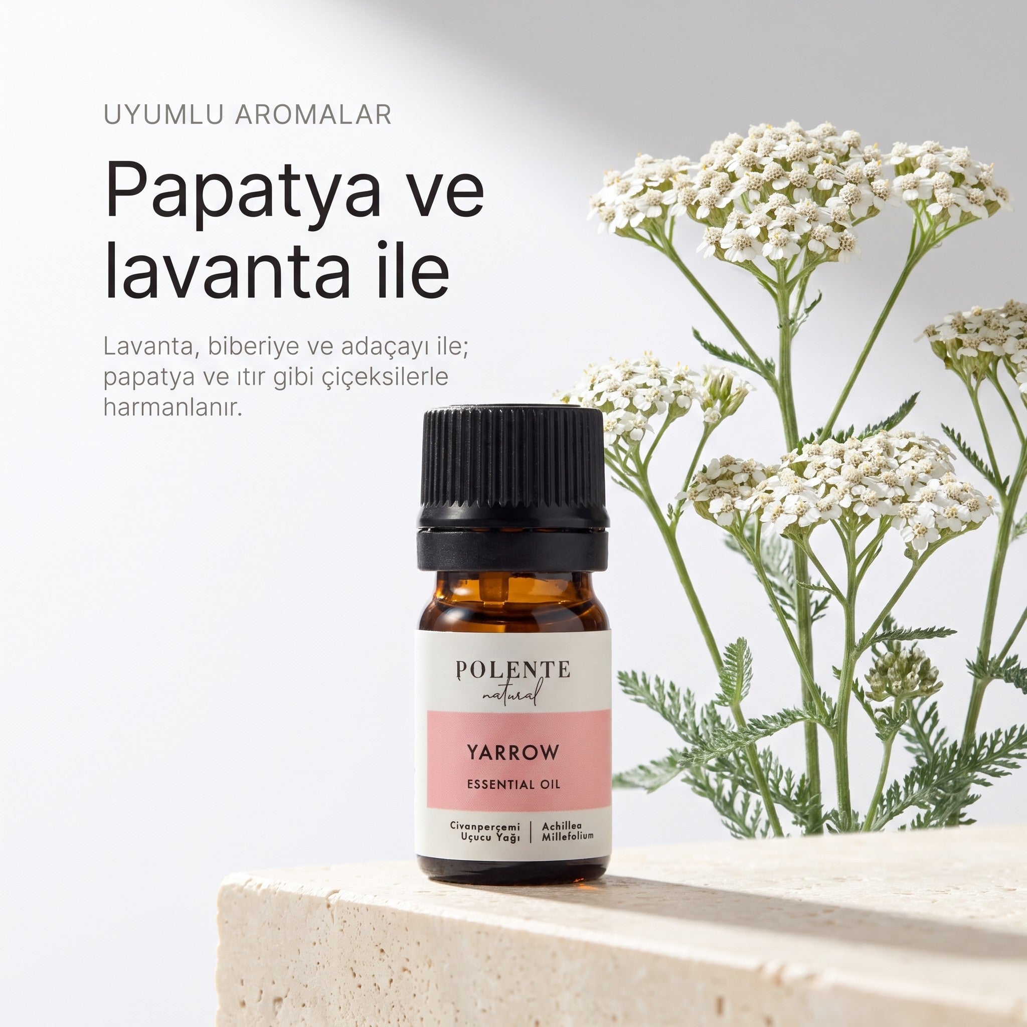 Civanperçemi ile uyumlu aromalar: papatya ve lavanta