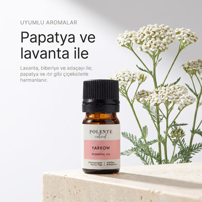 Civanperçemi ile uyumlu aromalar: papatya ve lavanta