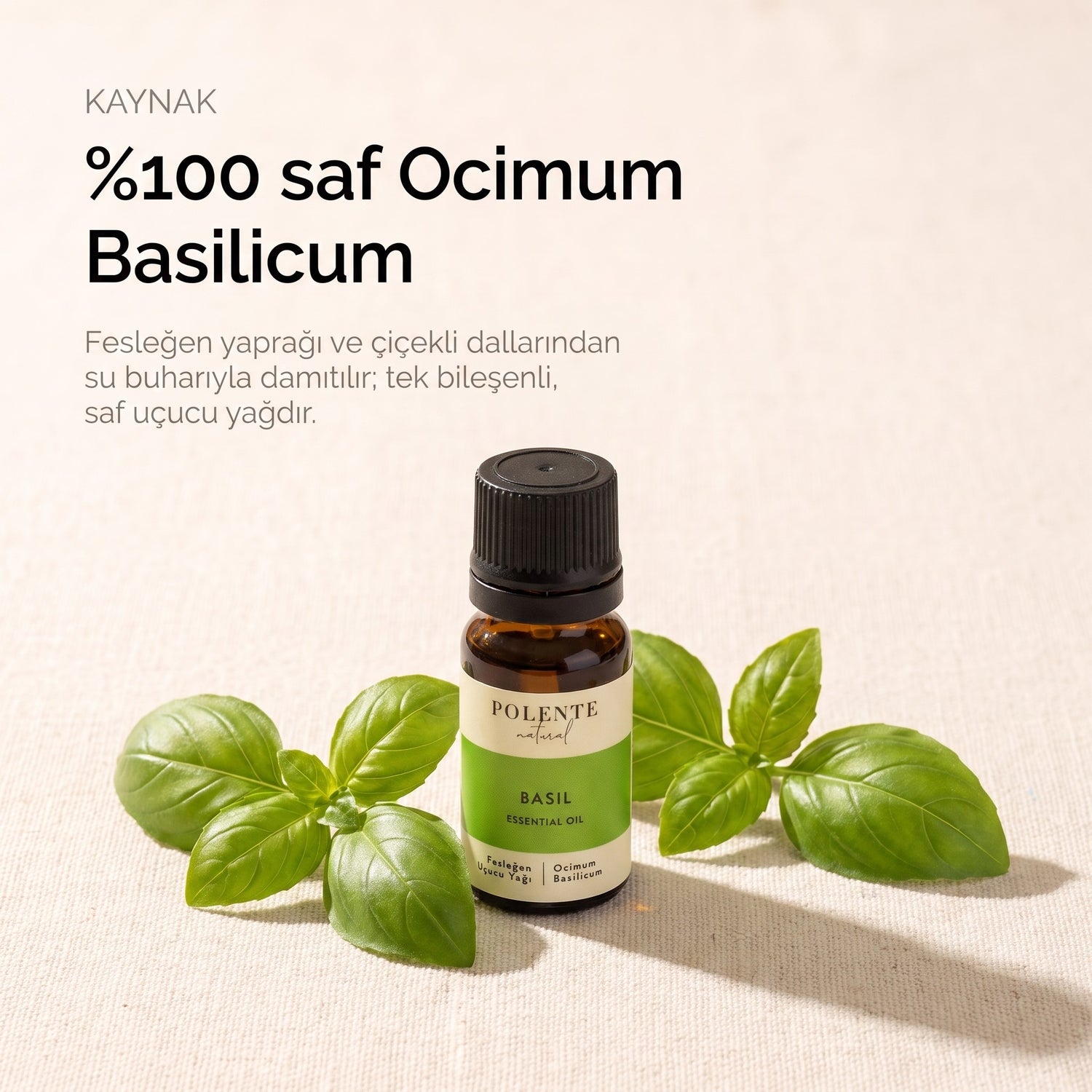 %100 saf Ocimum Basilicum