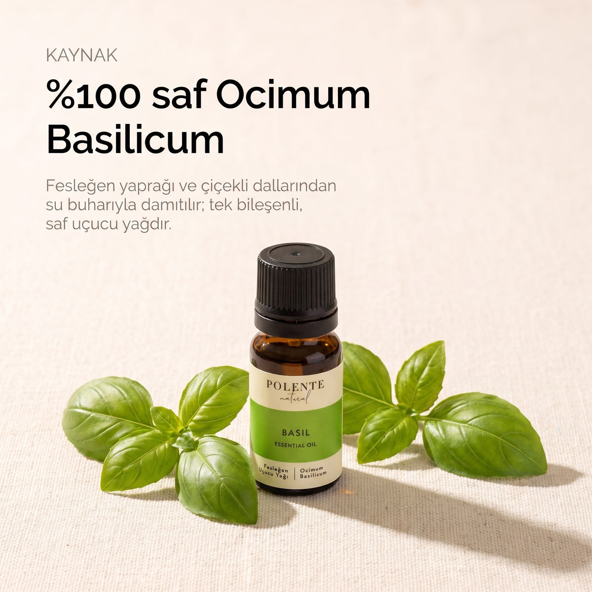%100 saf Ocimum Basilicum