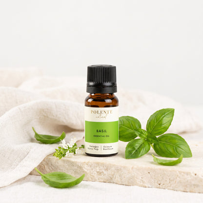 Fesleğen Uçucu Yağı 10 ml — taze fesleğen yapraklarıyla botanik konsept görseli