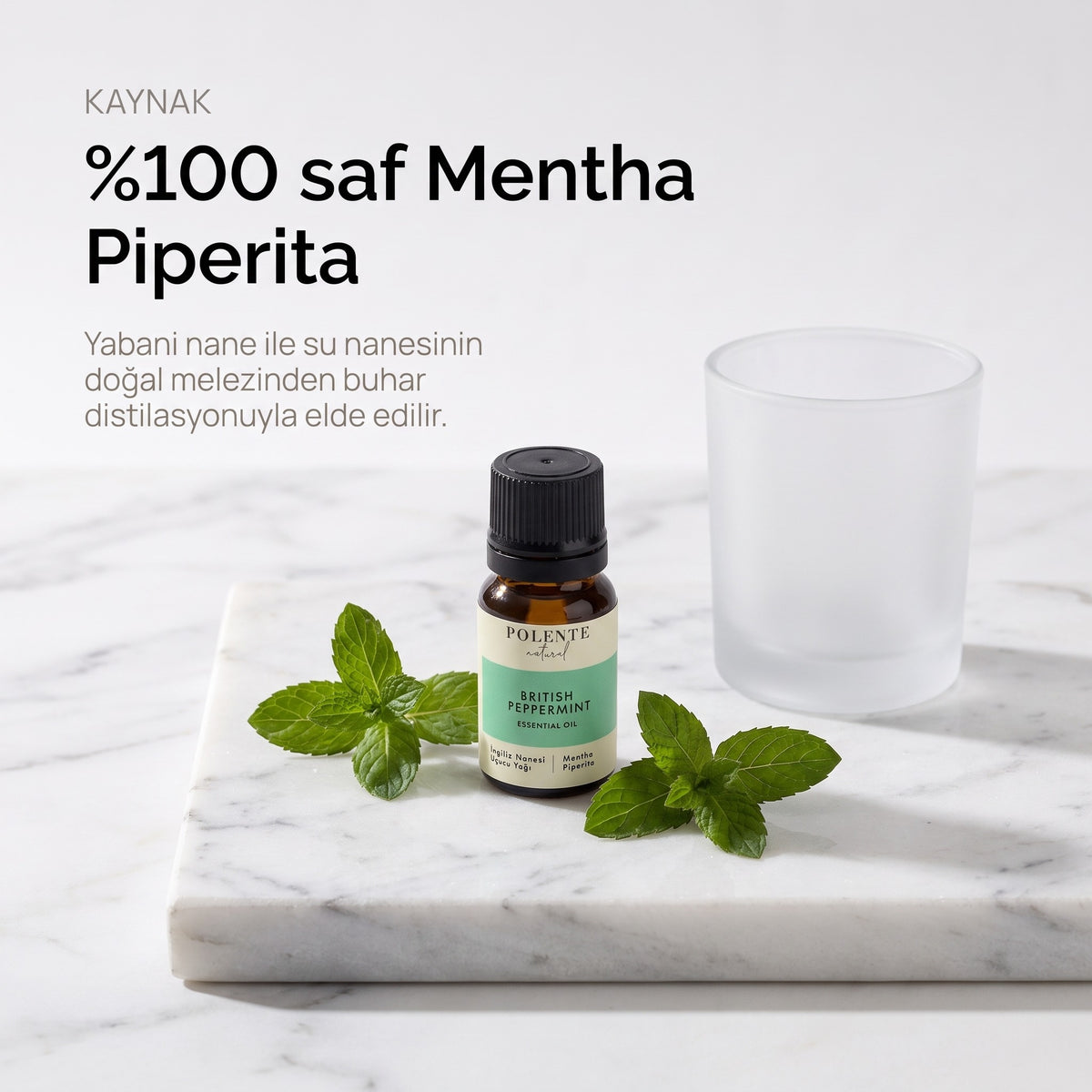 %100 saf Mentha Piperita