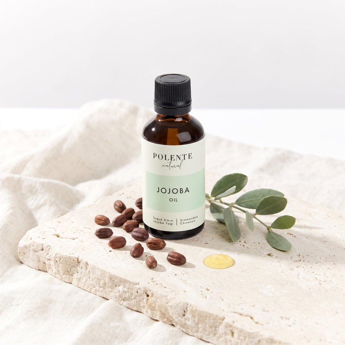 Jojoba Yağı Soğuk Sıkım 50 ml — jojoba tohumu ve yapraklarıyla botanik konsept görseli