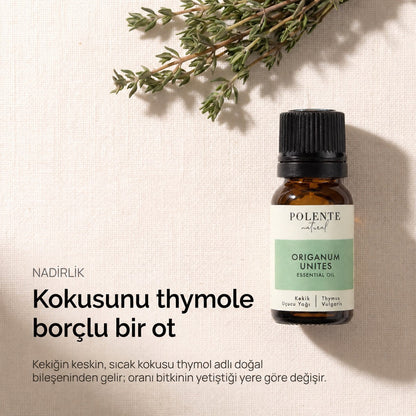 Kokusunu thymole borçlu bir ot
