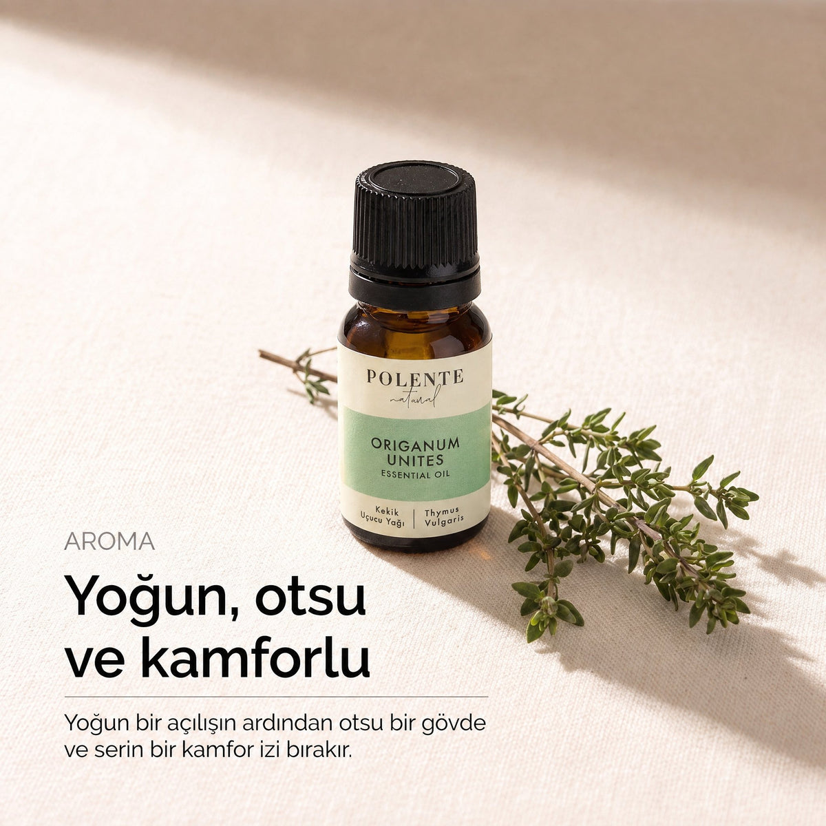 Yoğun, otsu ve kamforlu
