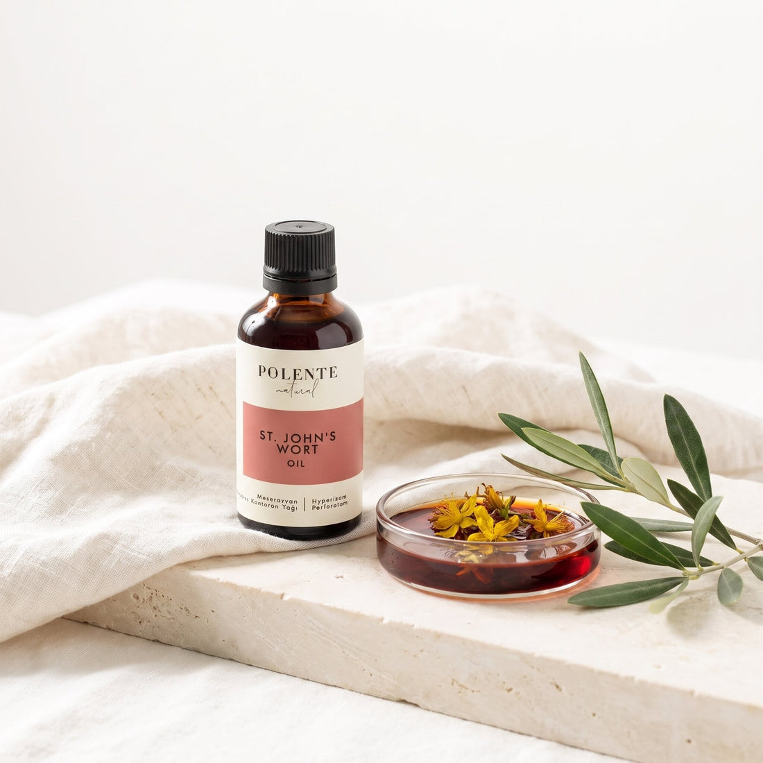 Kırmızı Kantaron Yağı Zeytin Maserasyon 50 ml — kantaron çiçekleri ve zeytin dalıyla botanik konsept görseli