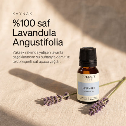 %100 saf Lavandula Angustifolia