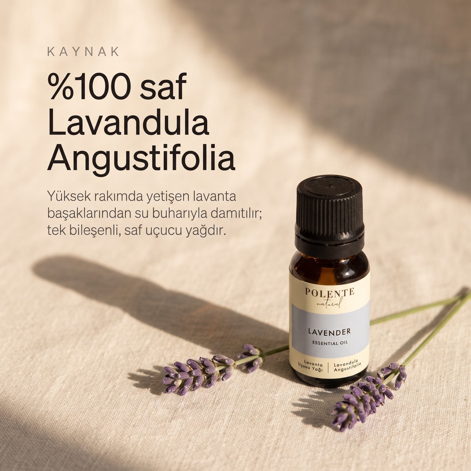 %100 saf Lavandula Angustifolia