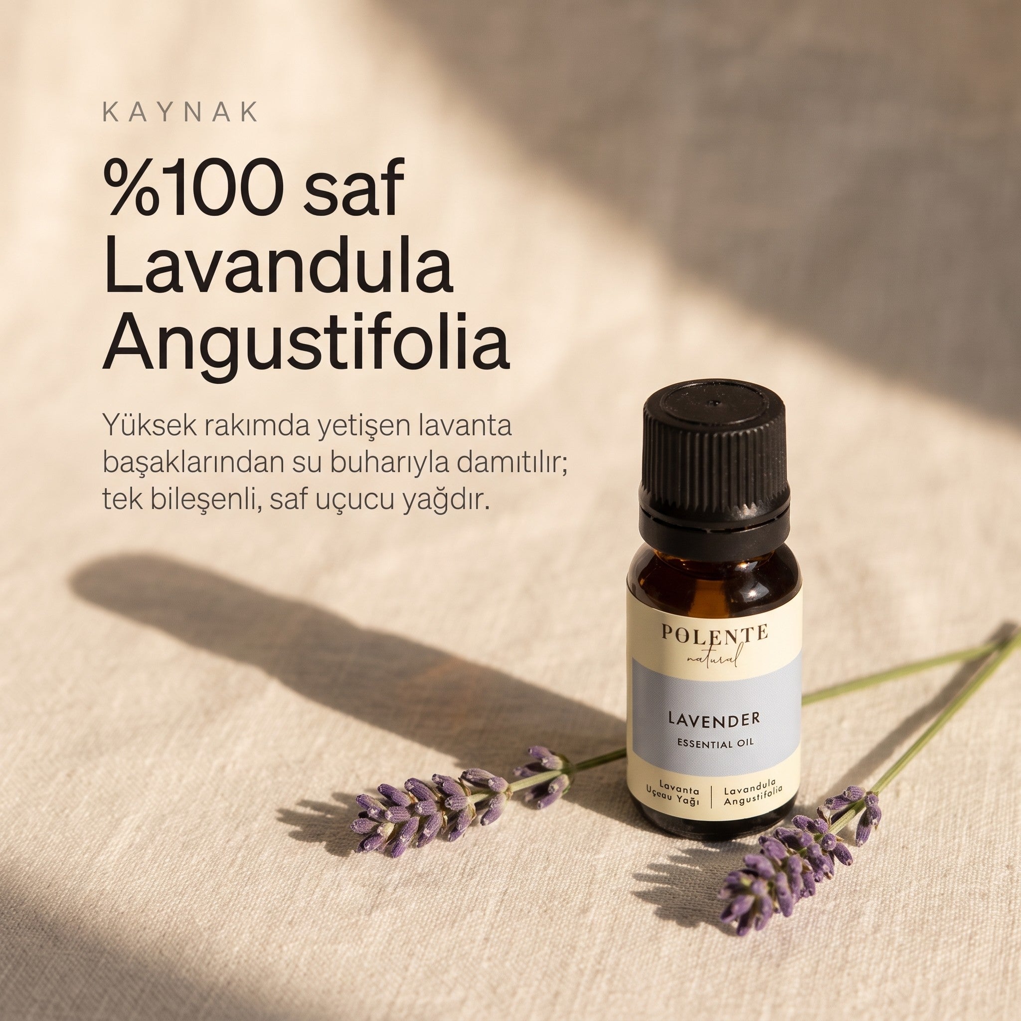 %100 saf Lavandula Angustifolia