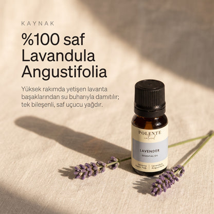 %100 saf Lavandula Angustifolia