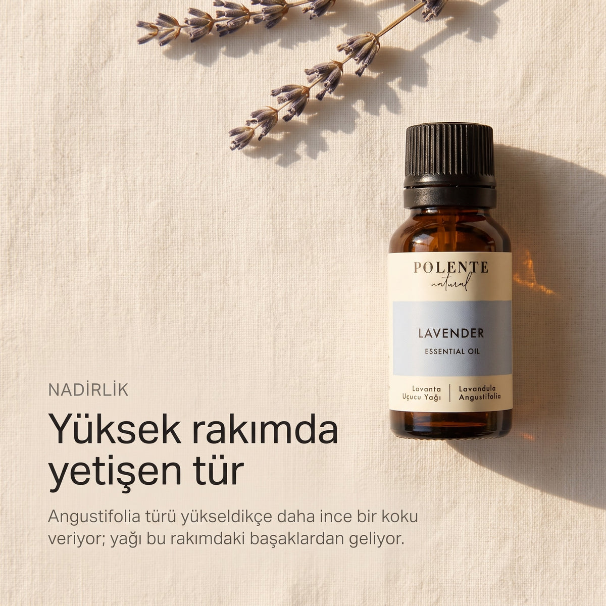 Yüksek rakımda yetişen tür