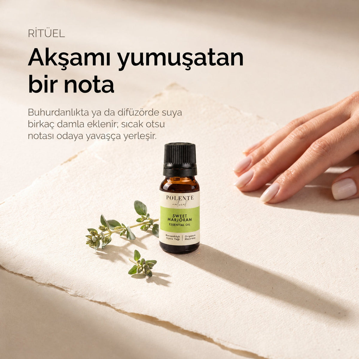 Mercanköşk uçucu yağı 5 ml — buhurdanlıkta ritüel