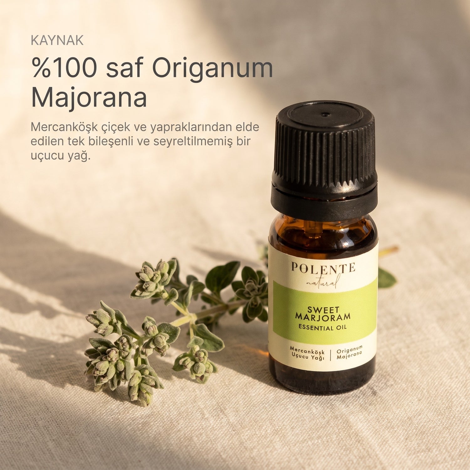%100 saf Origanum Majorana mercanköşk uçucu yağı
