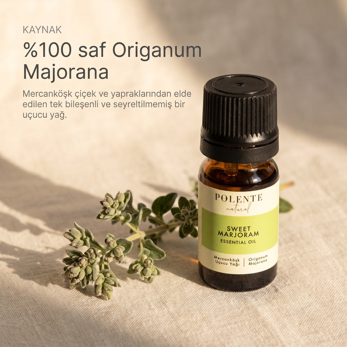 %100 saf Origanum Majorana mercanköşk uçucu yağı