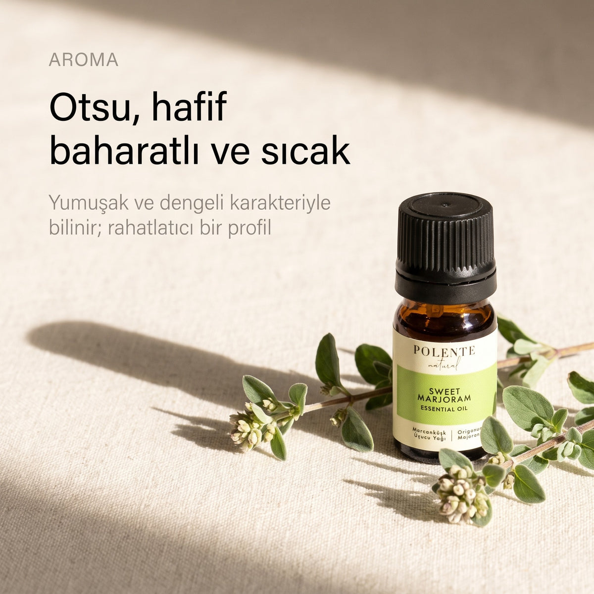 Mercanköşk yağının otsu, hafif baharatlı ve sıcak aroması