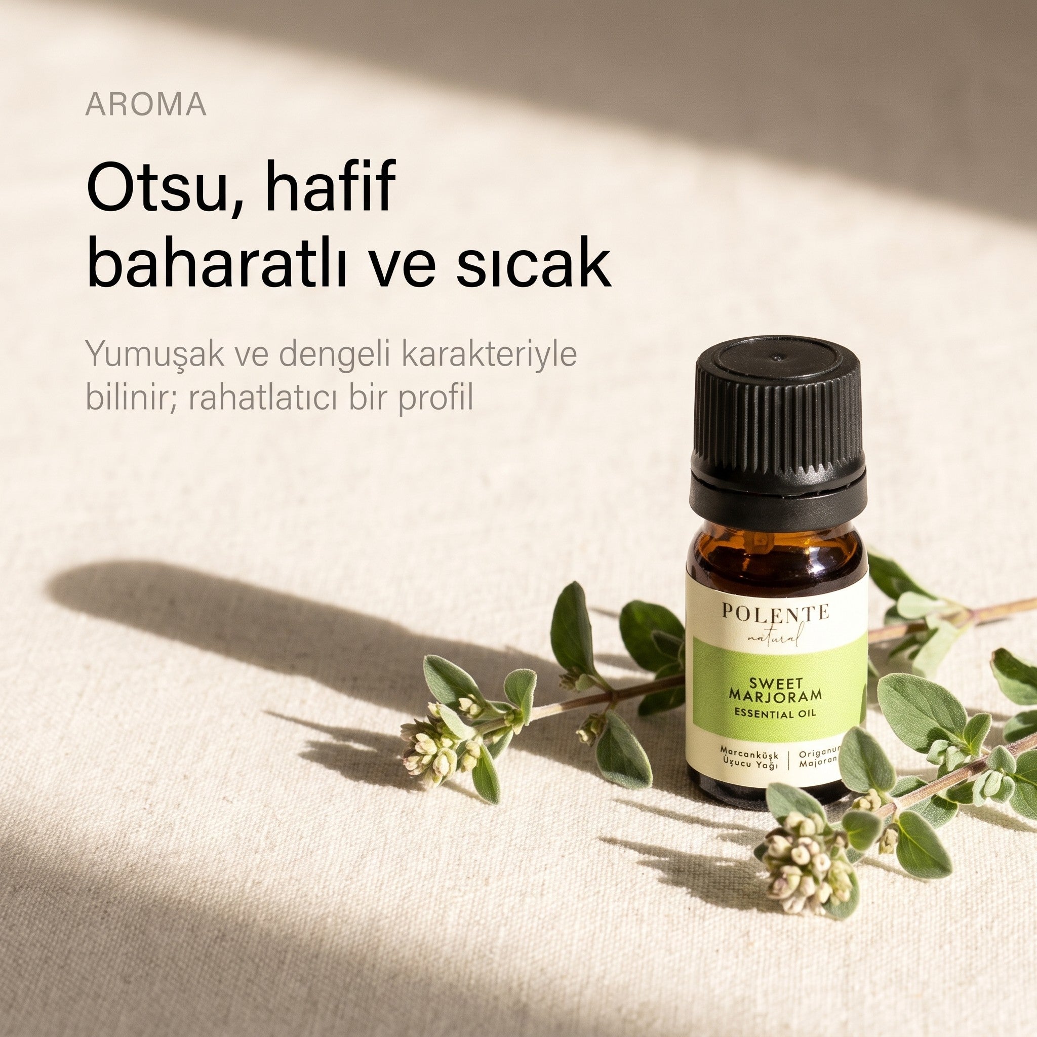 Mercanköşk yağının otsu, hafif baharatlı ve sıcak aroması