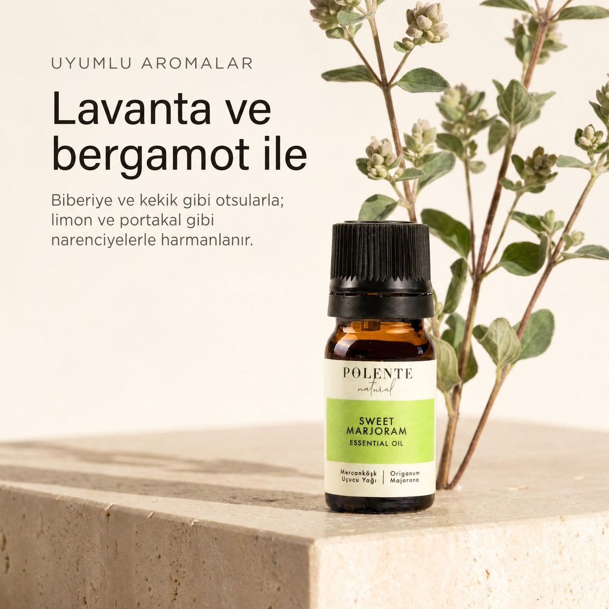 Mercanköşk ile uyumlu aromalar: lavanta ve bergamot
