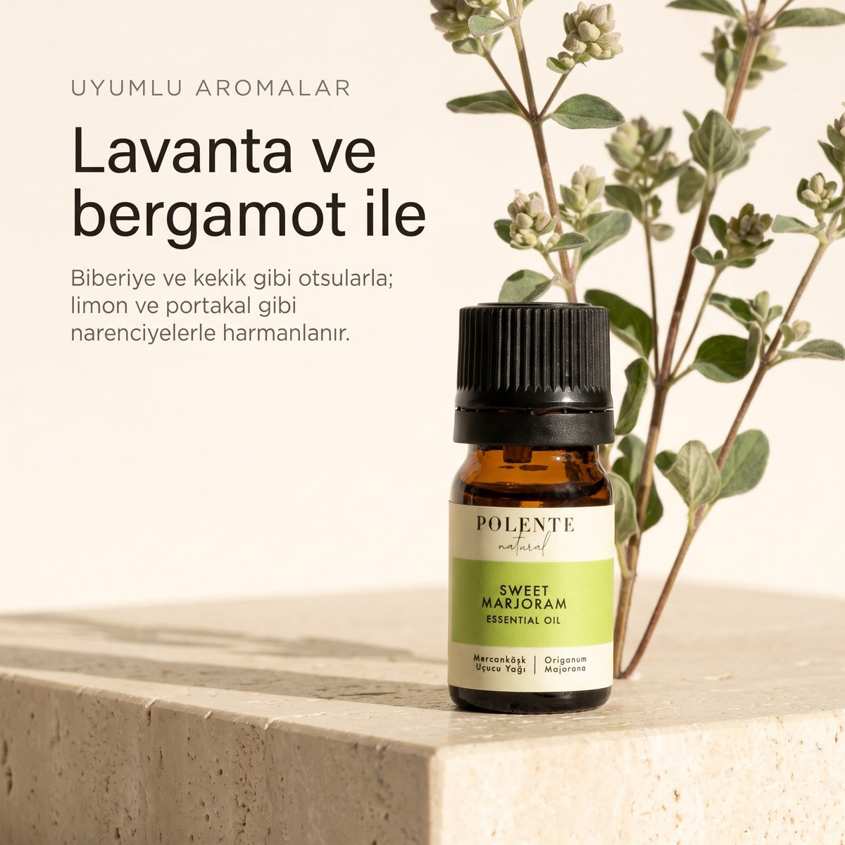 Mercanköşk ile uyumlu aromalar: lavanta ve bergamot