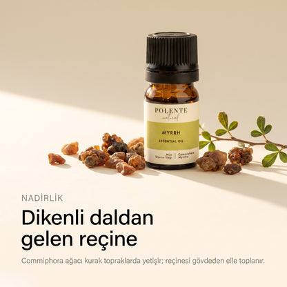 Dikenli Commiphora dalından gelen mür reçinesi