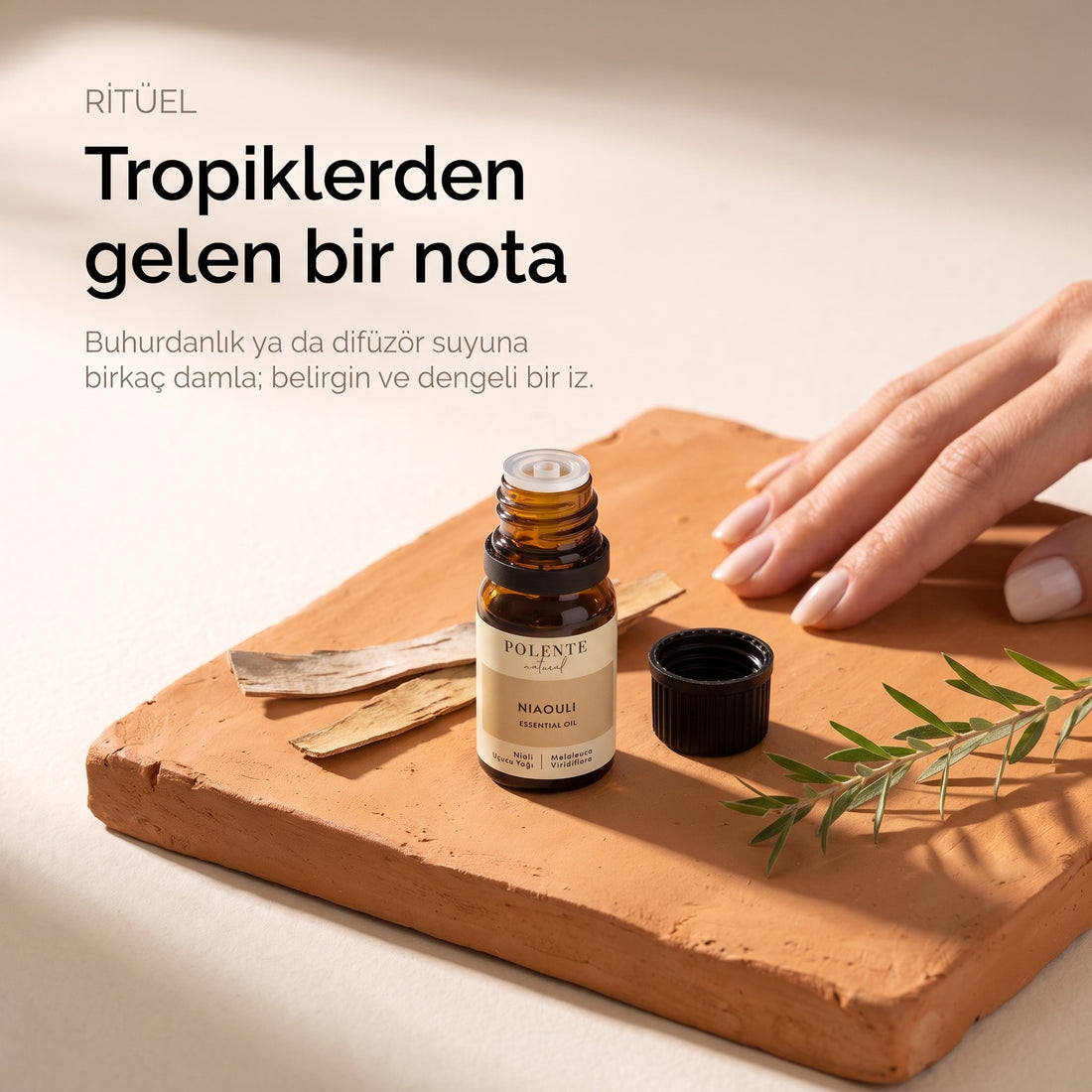 Niaouli uçucu yağı ritüel