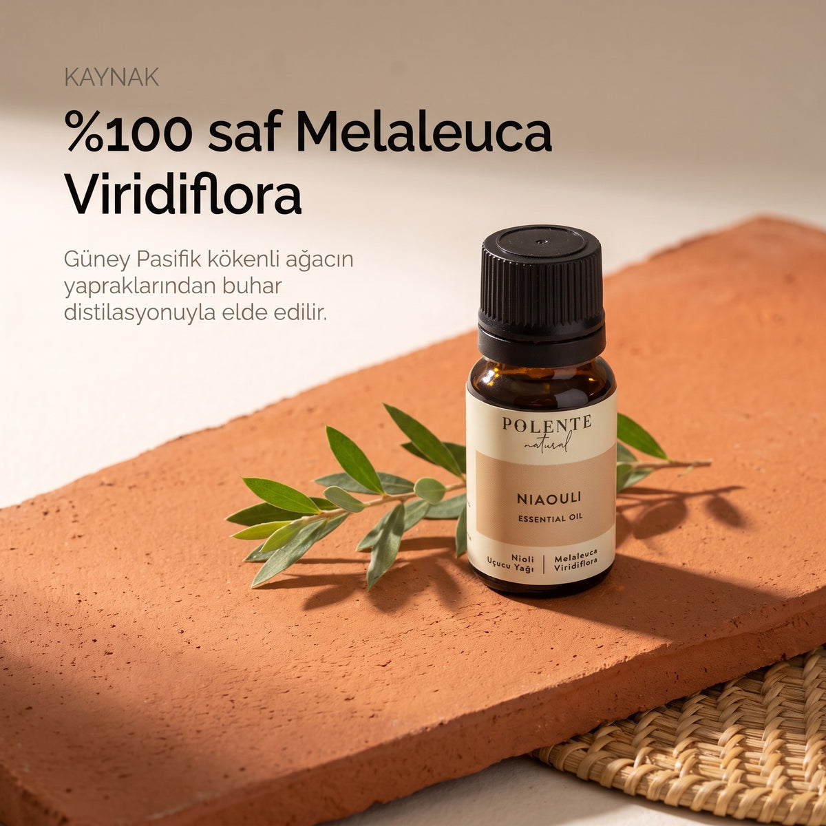 %100 saf Melaleuca Viridiflora