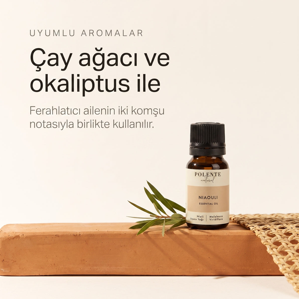 Çay ağacı ve okaliptus ile