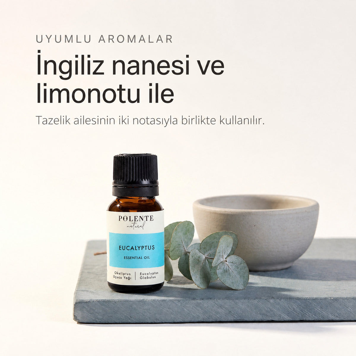 İngiliz nanesi ve limonotu ile