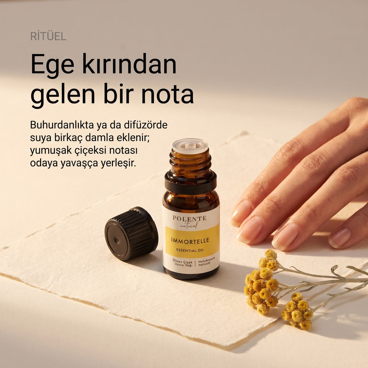 Ölmez çiçek uçucu yağı 5 ml — buhurdanlıkta ritüel
