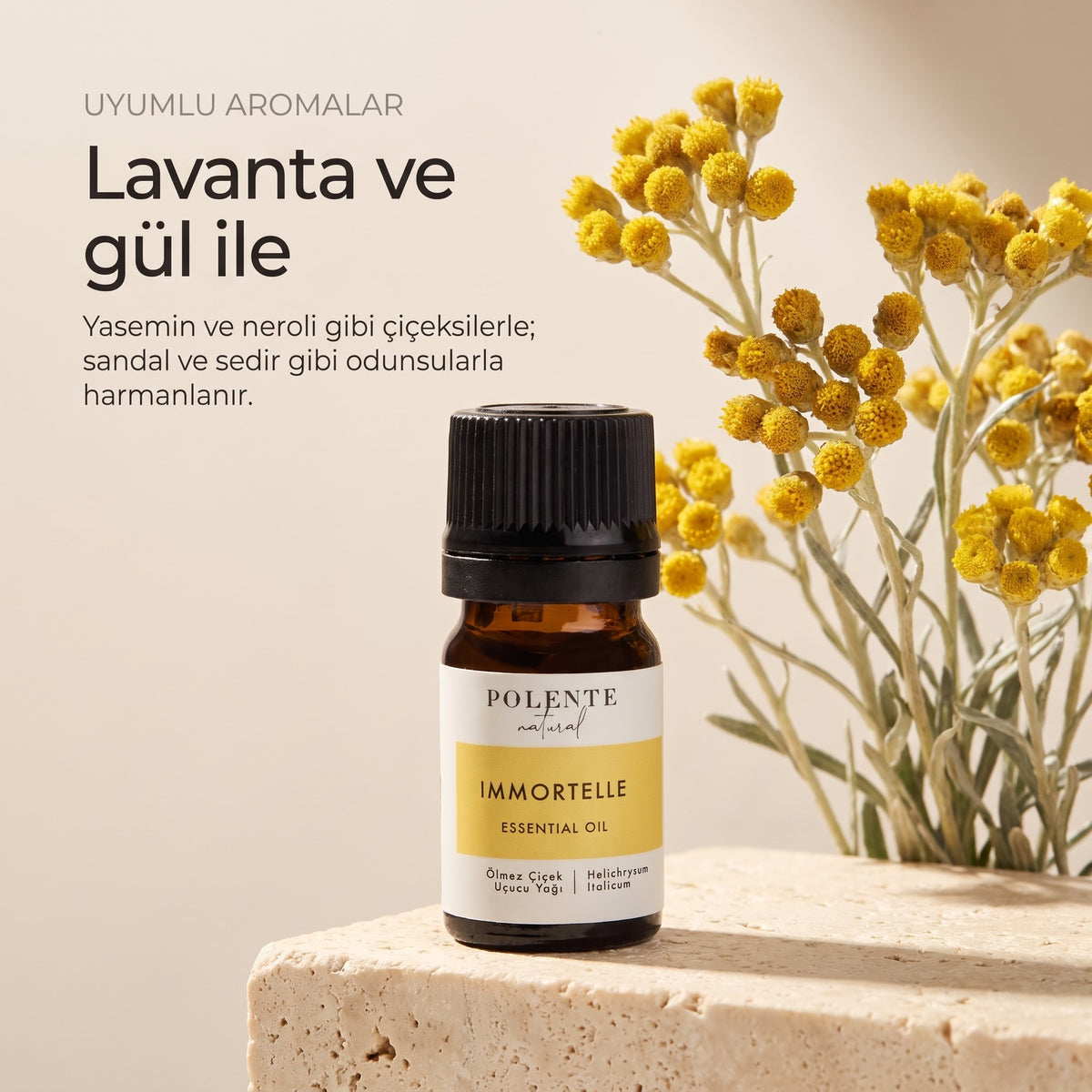Ölmez çiçek ile uyumlu aromalar: lavanta ve gül