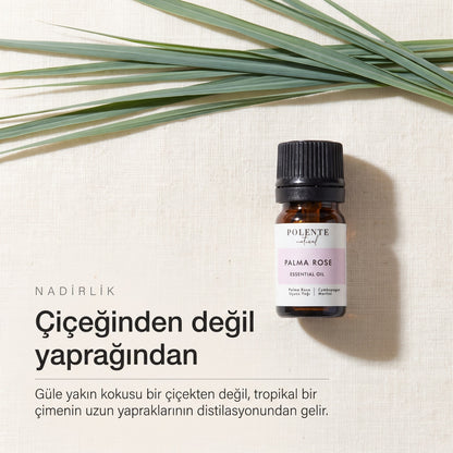 Palma rosa çimeninin uzun yaprakları