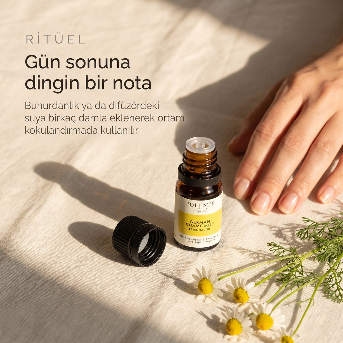 Papatya uçucu yağı 5 ml — gün sonuna dingin bir nota