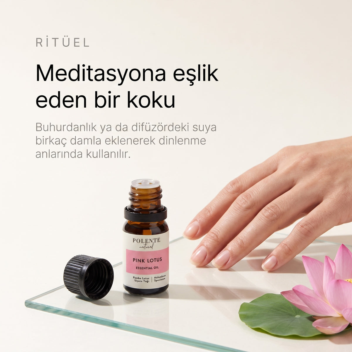 Pembe lotus uçucu yağı 5 ml — meditasyona eşlik eden bir koku