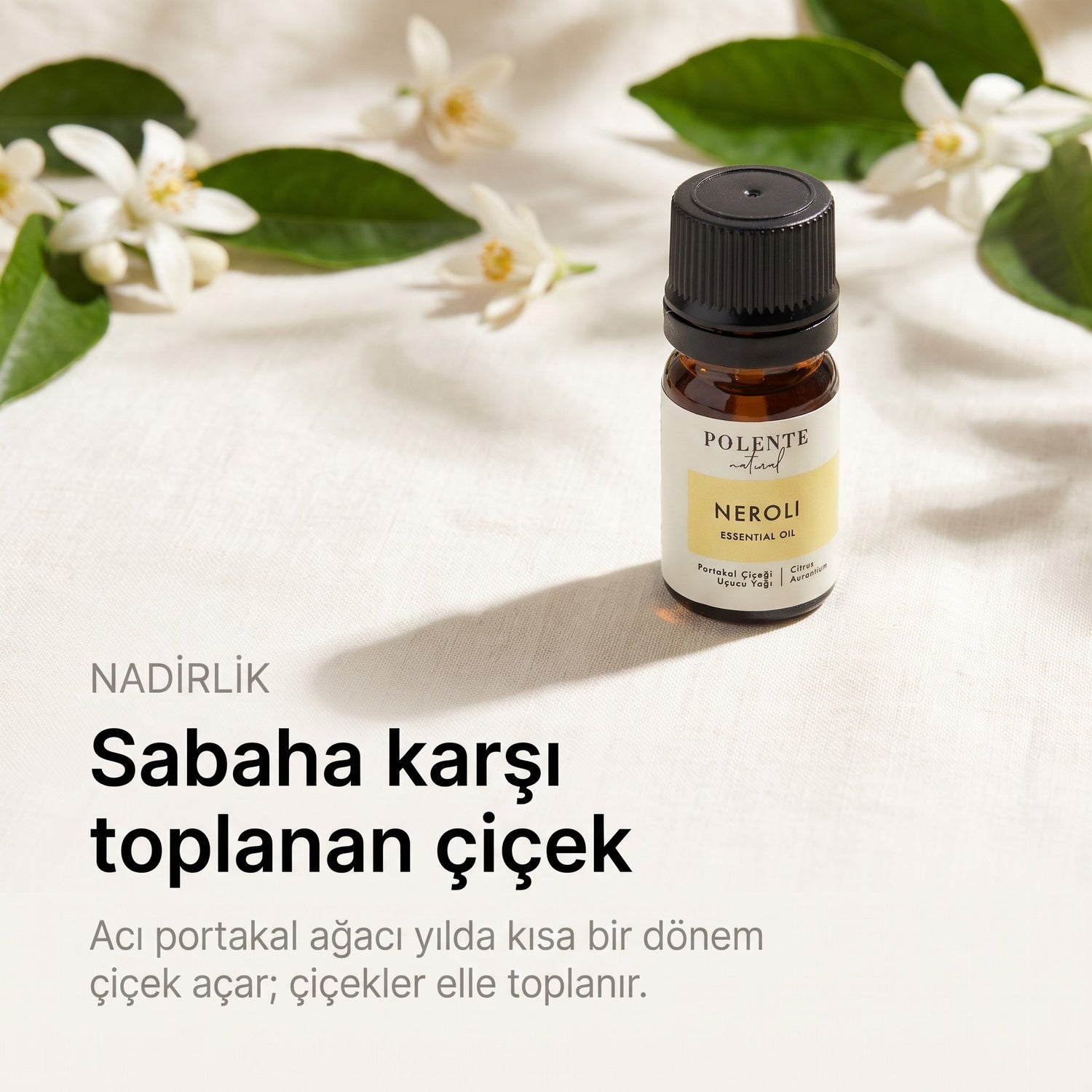 Neroli uçucu yağı 5 ml — sabaha karşı toplanan çiçek