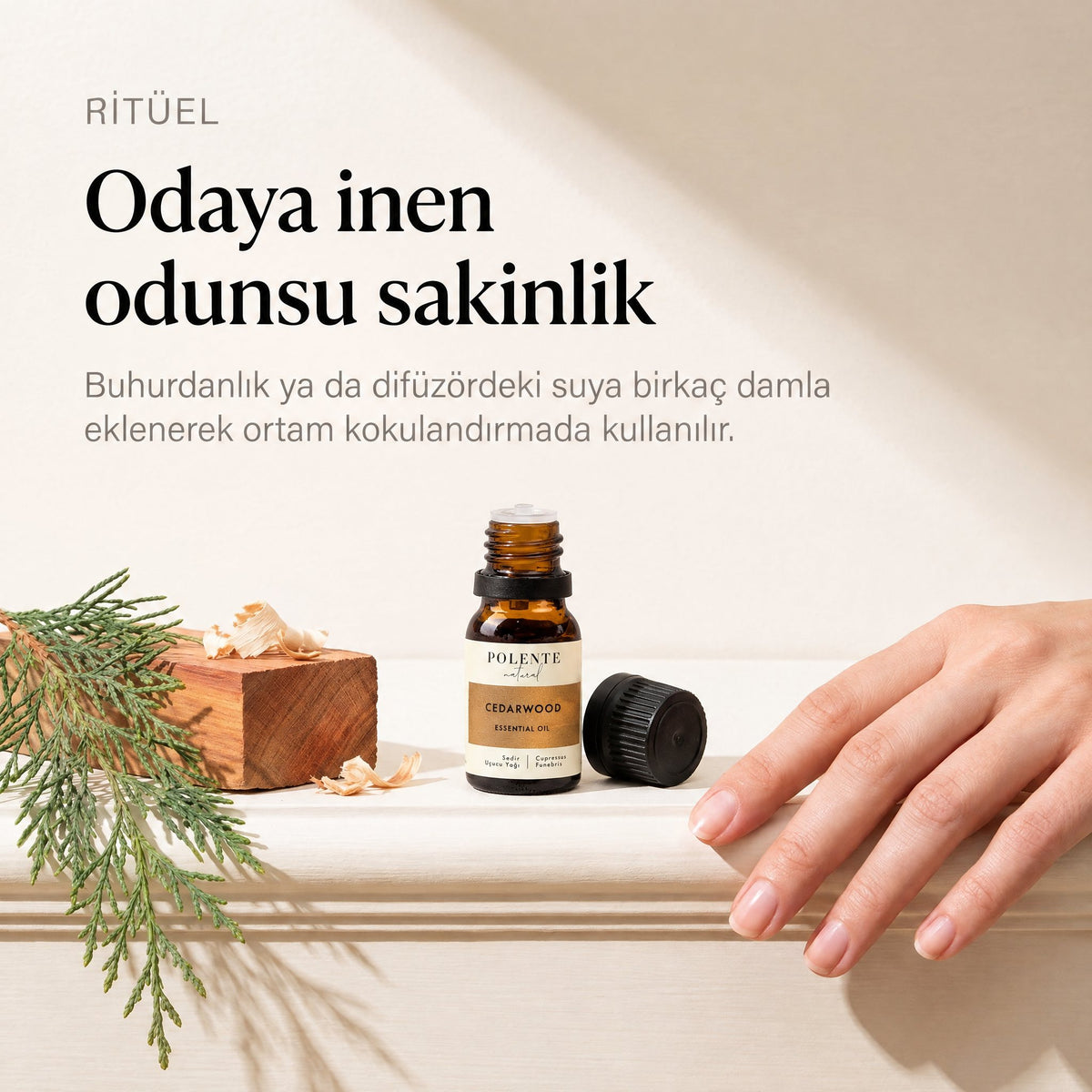 Sedir uçucu yağı 5 ml — buhurdanlıkta ritüel
