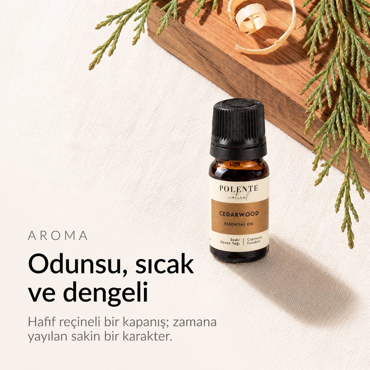 Sedir yağının odunsu, sıcak ve dengeli aroması