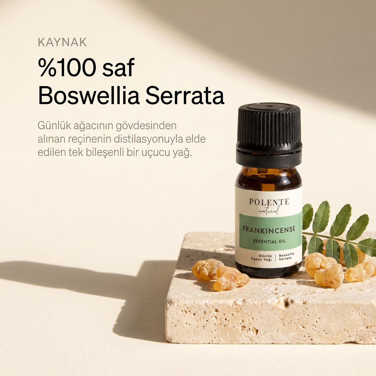 %100 saf Boswellia Serrata günlük uçucu yağı