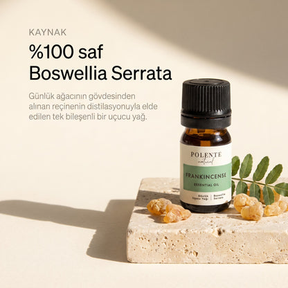 %100 saf Boswellia Serrata günlük uçucu yağı