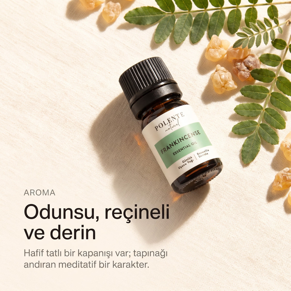 Günlük yağının odunsu, reçineli ve derin aroması