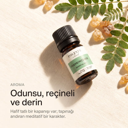 Günlük yağının odunsu, reçineli ve derin aroması