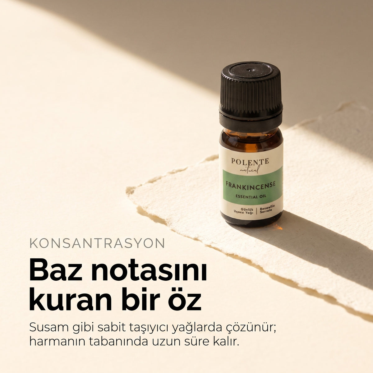 Baz notasını kuran seyreltilmemiş günlük özü