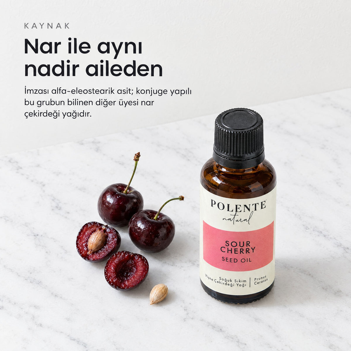 Vişne Çekirdeği Yağı 30 ml — kaynağı: yarılmış vişneler ve iç çekirdek