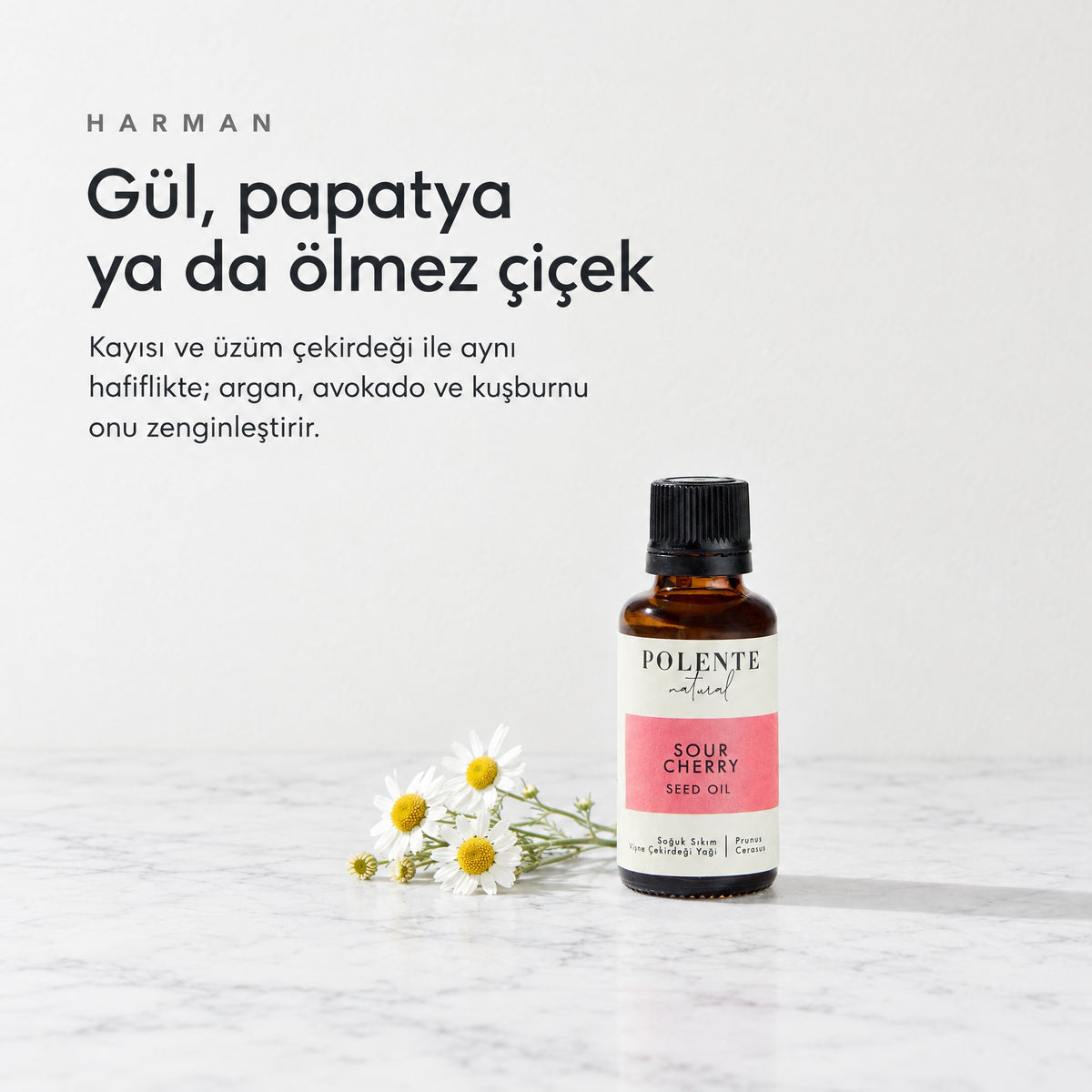 Vişne Çekirdeği Yağı 30 ml — harman: gül, papatya ya da ölmez çiçek ile