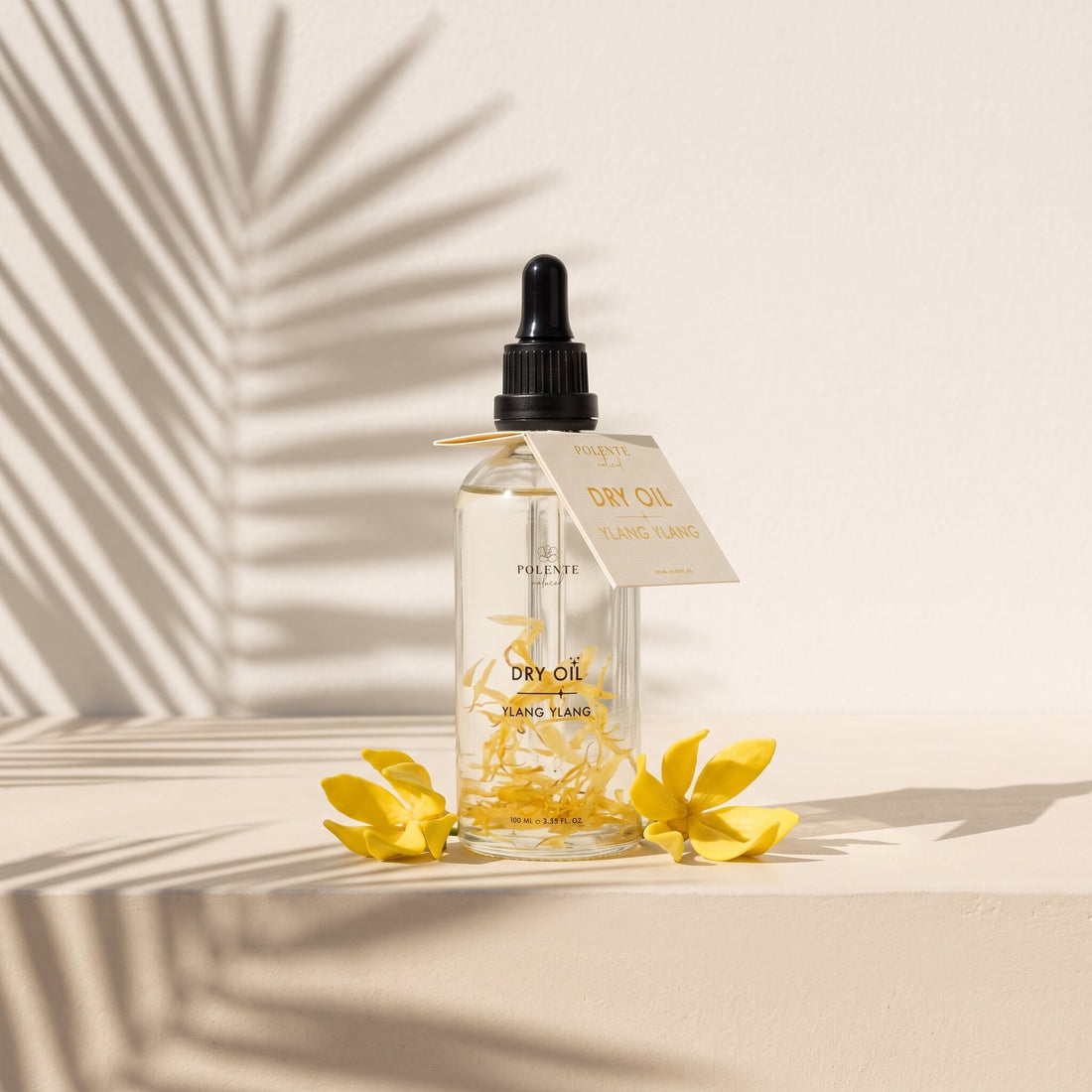 Ylang Ylang Dry Oil 100 ml çok amaçlı kuru yağ — kum rengi sıva duvarda palmiye gölgeleriyle konsept görseli