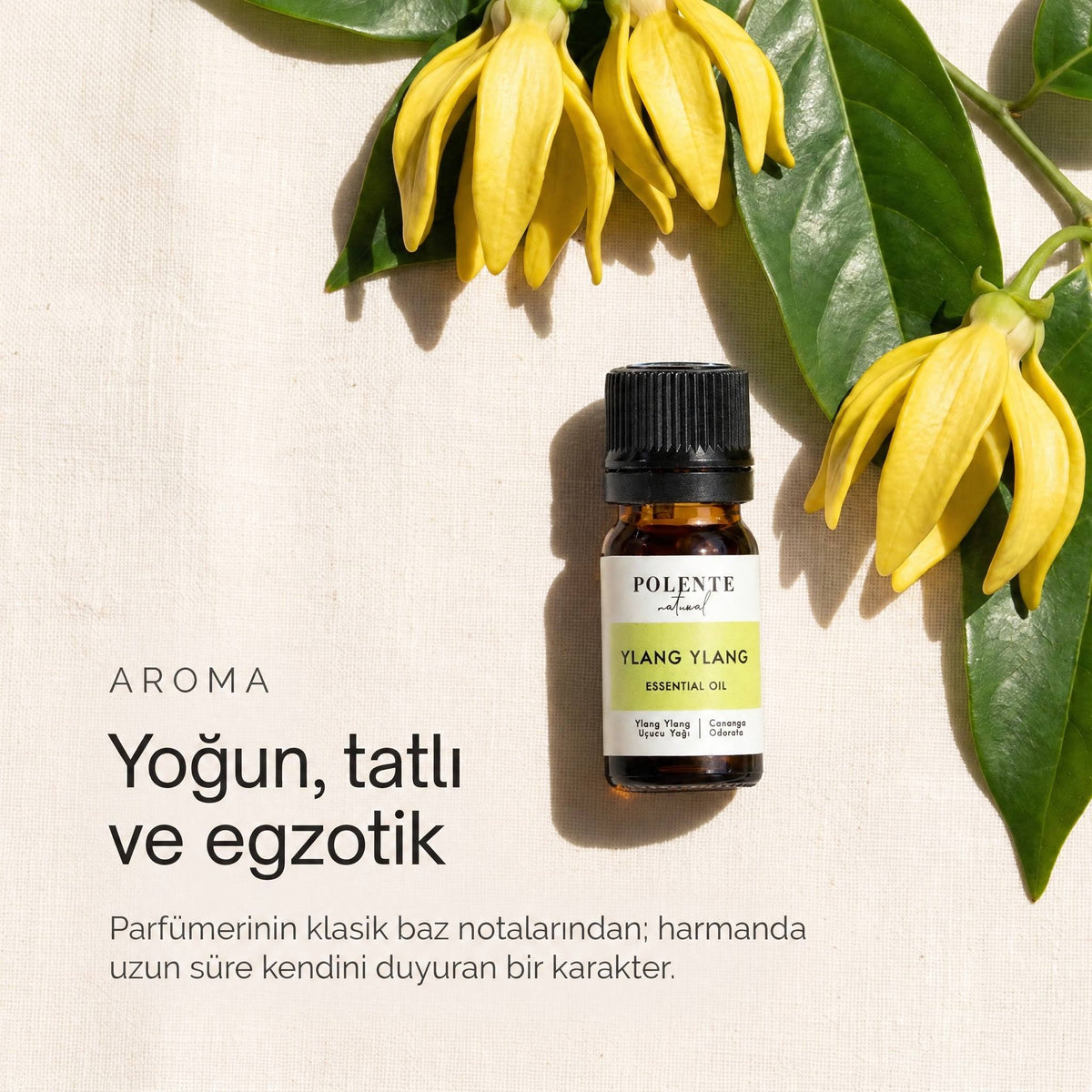 Ylang Ylang uçucu yağı 5 ml — yoğun, tatlı ve egzotik