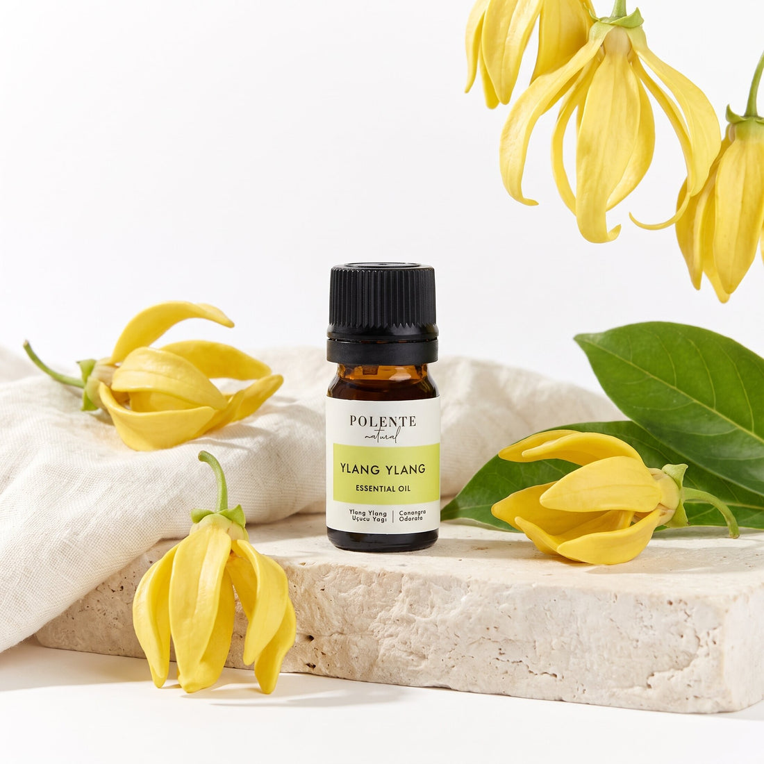 Ylang Ylang Uçucu Yağı 5 ml — sarı ylang ylang çiçekleriyle botanik konsept görseli