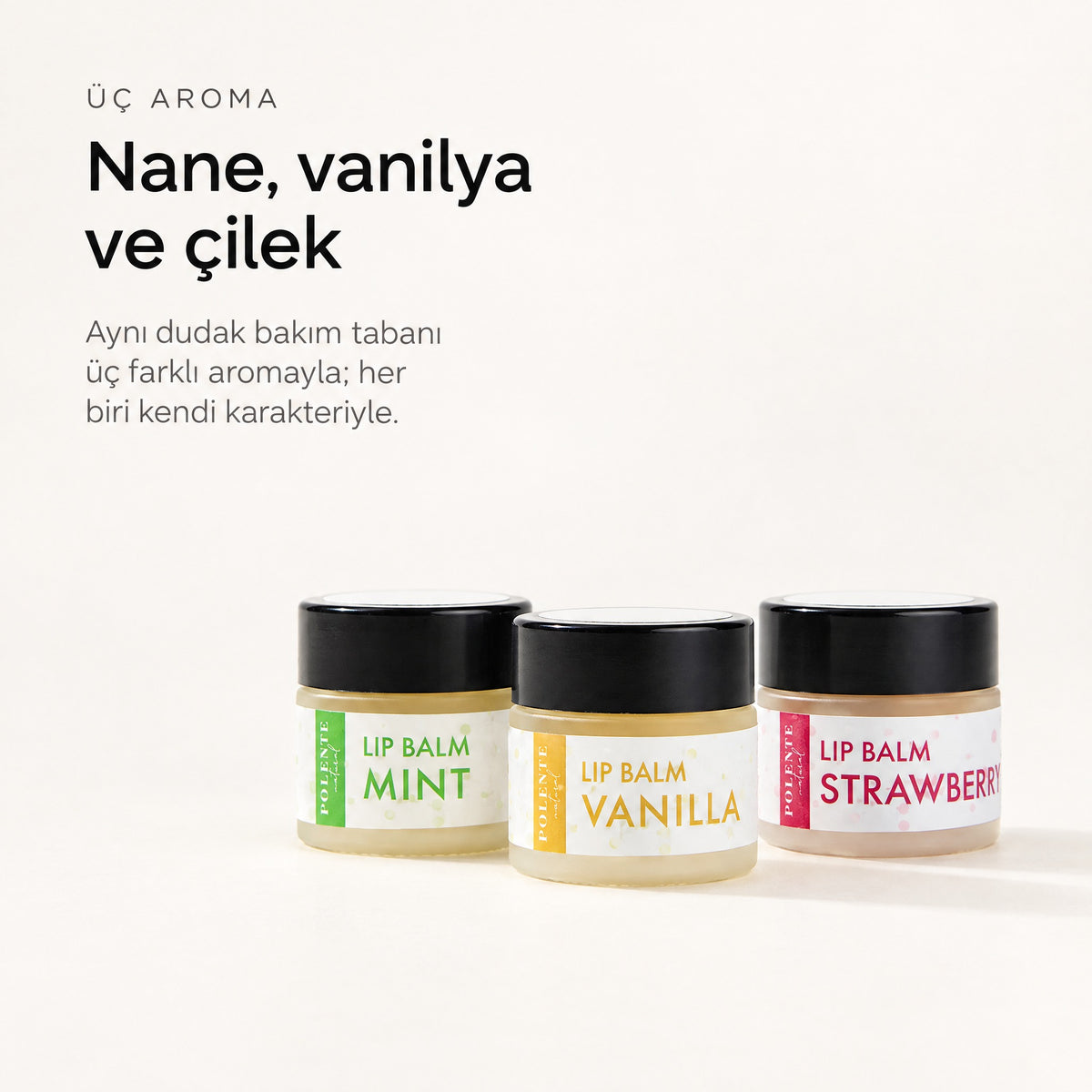 Vanilyalı Lip Balm 10 ml — Nane, vanilya ve çilek