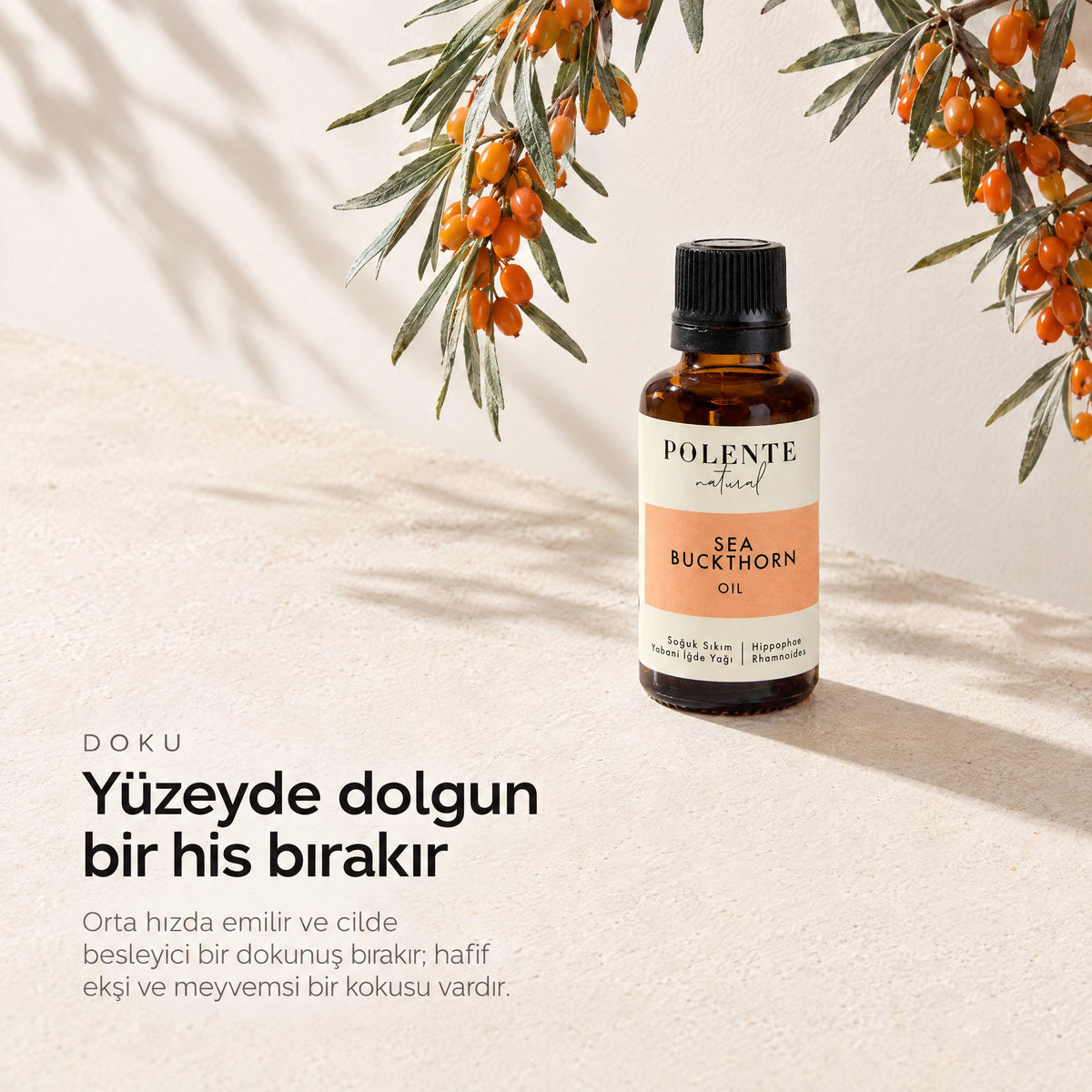 Yabani İğde Yağı 30 ml — yüzeyde dolgun bir his, meyveli dalıyla