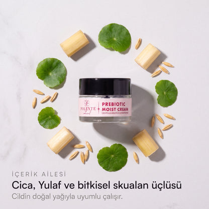 PREBIOTIC MOIST CREAM 50 ml — Cica, Yulaf ve bitkisel skualan içerik ailesi