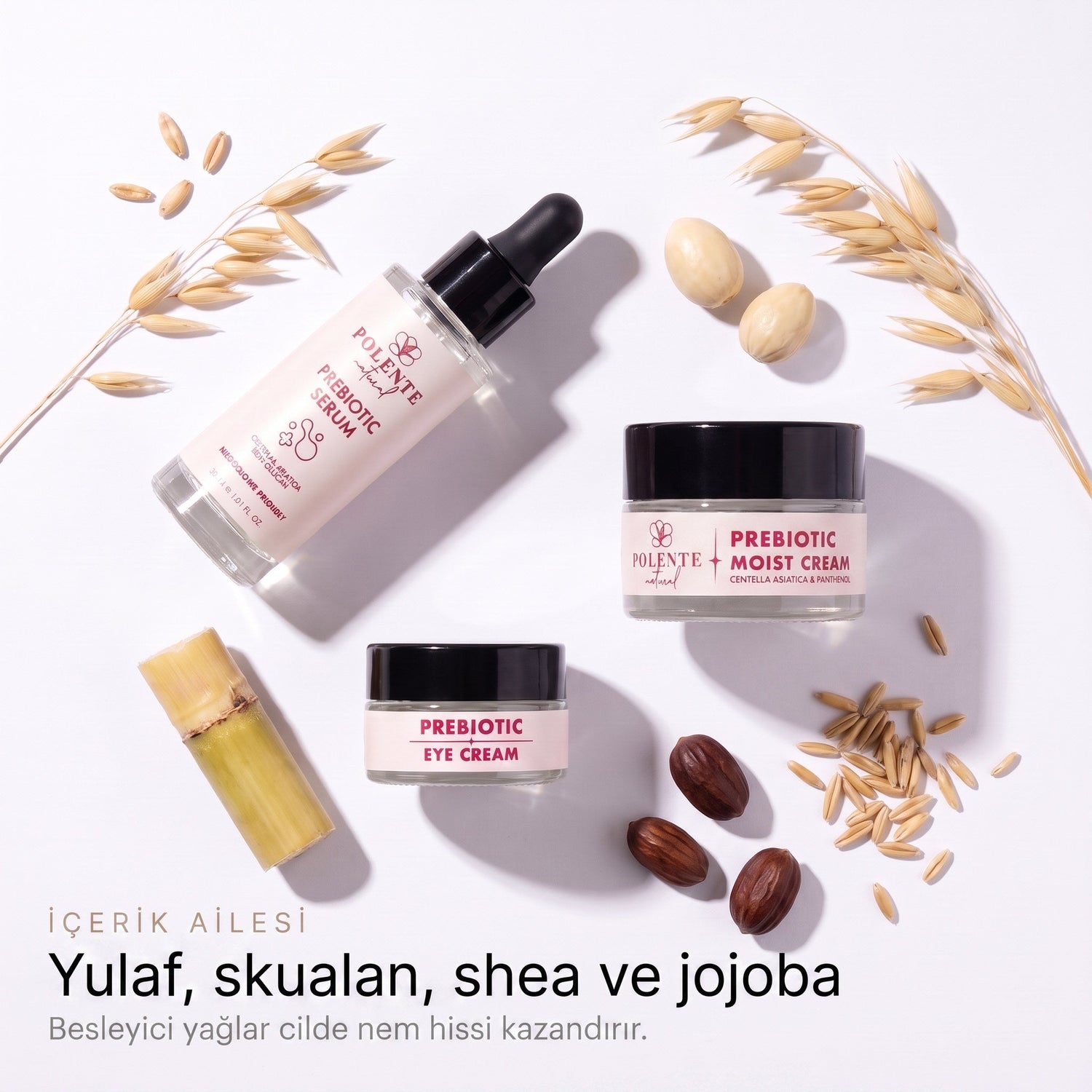 PREBIOTIC SERİ SETİ — yulaf, skualan, shea ve jojoba içerik ailesi